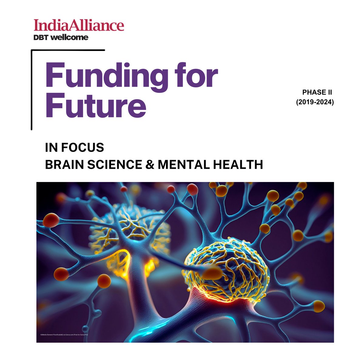 India_Alliance's tweet image. This #BrainAwarenessWeek, we highlighted some of our fellows in brain science.  

As the series concludes, we are launching IA&apos;s Brain Science and Mental Health portfolio booklet, featuring our awardees in the field.  

Explore their work here: tinyurl.com/326whwhh