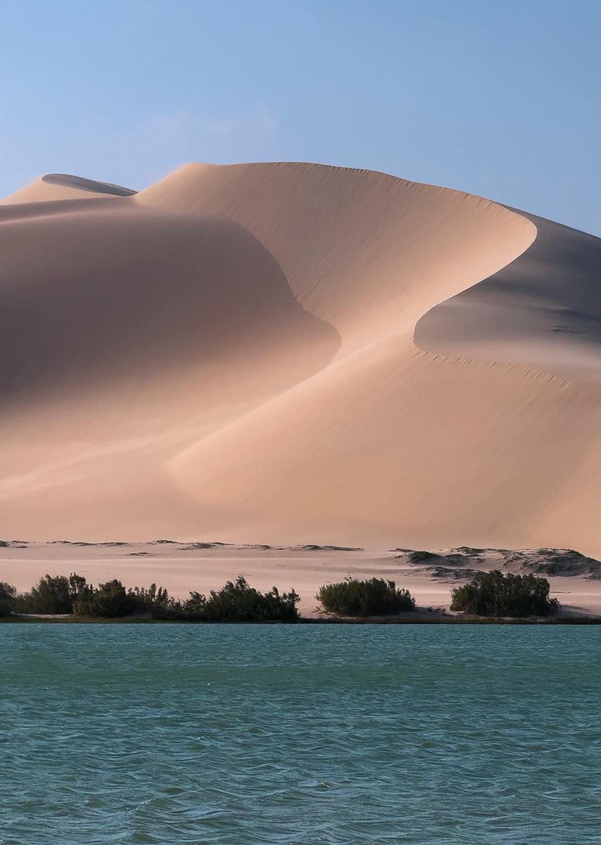 Deeqa 🇸🇴 tweet media