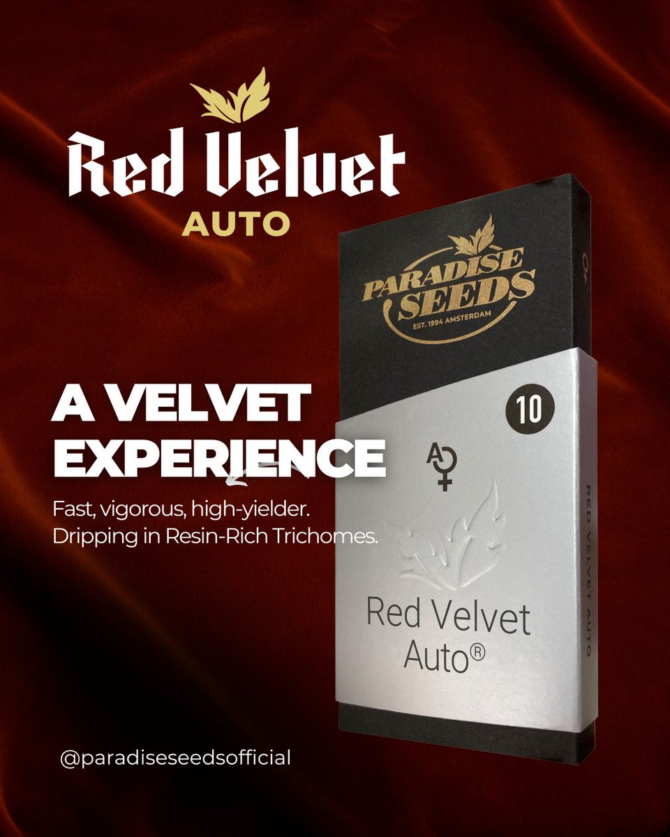 paradiseseeds's tweet photo. Fresh off the Spannabis buzz, letโs talk about #RedVelvetAuto!
A bold mix of lemon citrus, sweet cherry & spicy cinnamon covered in a frosty layer of trichomesโ๏ธ
#paradiseseeds #finestseedcollection #paradiseseedscommunity #autoflower https://t.co/11LXJTvRX8