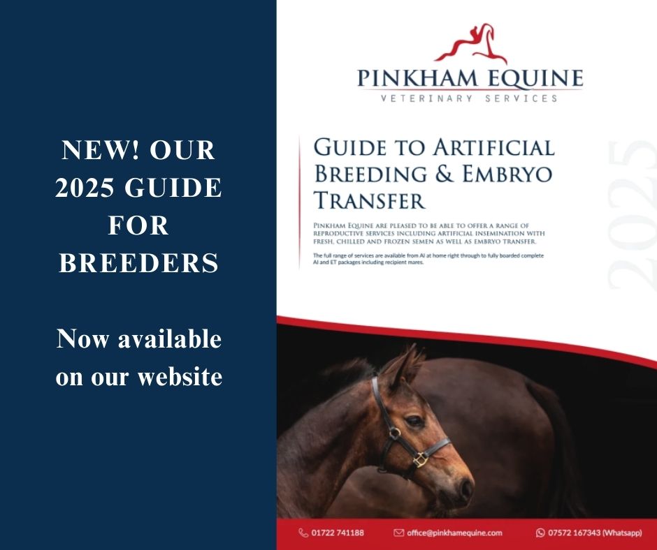 Pinkham Equine tweet media