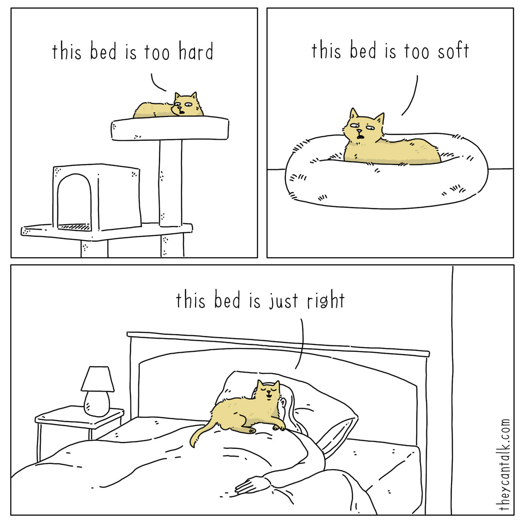 LHamacats's tweet photo. La cama ideal para tu michi si existe y no es tu cara!! Es una #Hamacat
#Hamacats
#camasparagatos
#camasparamascotas
#hechoenmexico
#hechoconamor
#hechoamano https://t.co/IEMZUGQAds