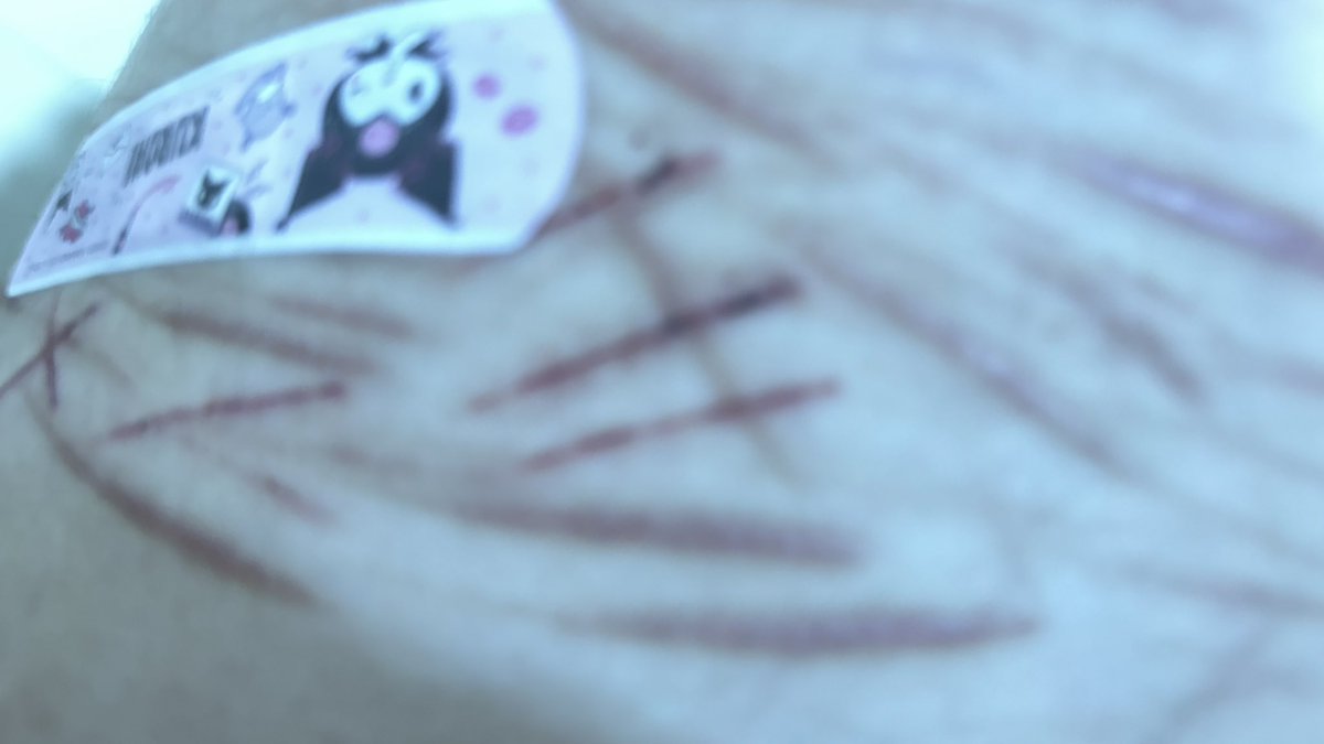 noa ┆shtwt tweet media