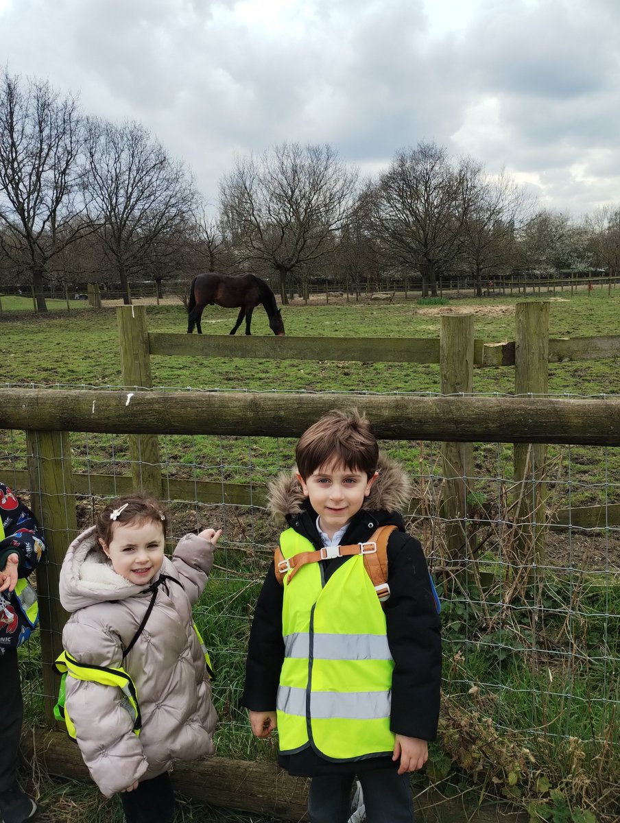 Solebay Primary tweet media