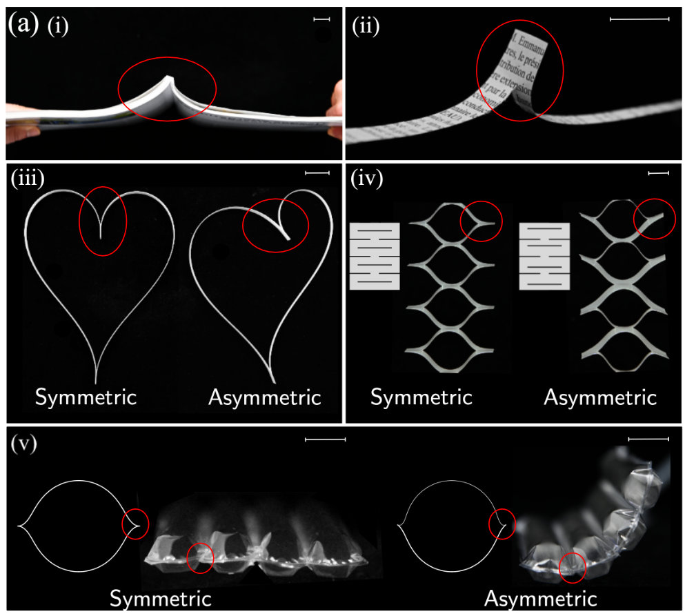 Our article on the junction of slender objects under tension has just been published <a href="/ESPCI_Paris/">ESPCI Paris - PSL</a>! We discuss a cool phenomenon found in numerous systems, from kirigamis, kuttsukigami, and inflatables to more traditional tearing and peeling
pnas.org/doi/10.1073/pn…
