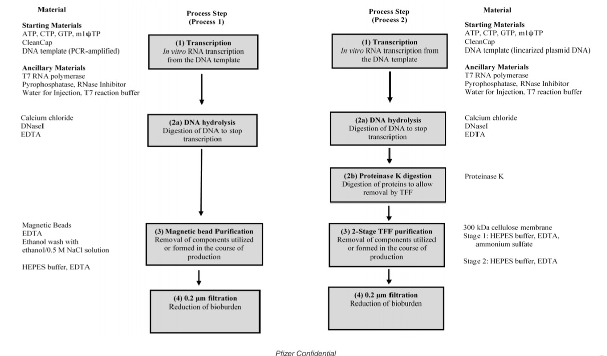 open_vaet's tweet image. The differences between P1 &amp;amp; P2 aren't trivial.

A document from the TGA details some key changes performed.

In P1, the DNA template for mRNA transcription was produced via PCR-amplification; P2 uses linearized plasmid DNA cultured in E. coli bacteria.
4/