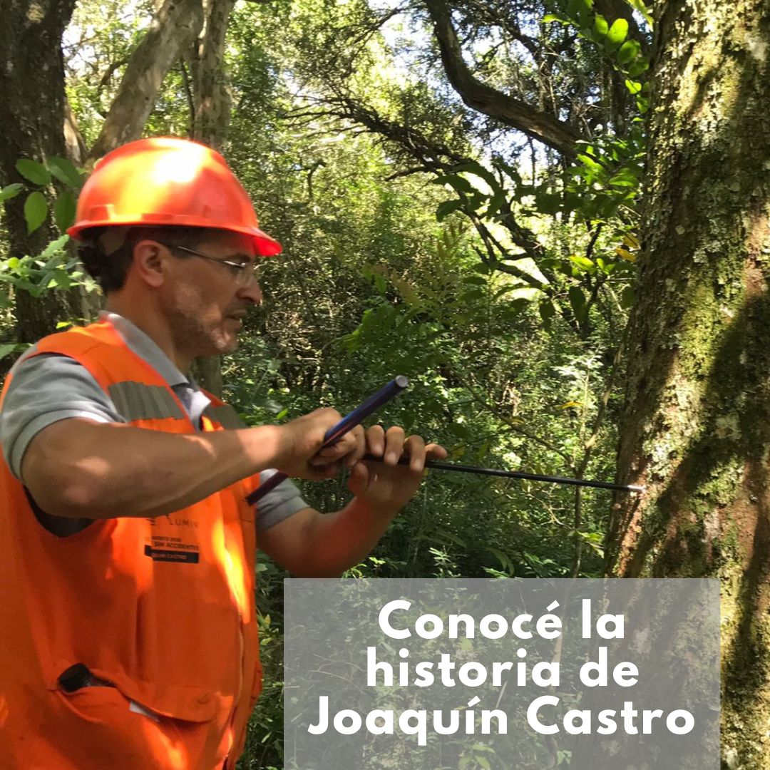 HISTORIAS FORESTALES

Joaquín Castro apostó a la industria forestal hace 25 años en Tacuarembó y la vio transformarse de un sector incipiente dentro del panorama agropecuario uruguayo al principal rubro exportador del país.

Conocé + de su historia aquí⬇️
shorturl.at/9V4ep