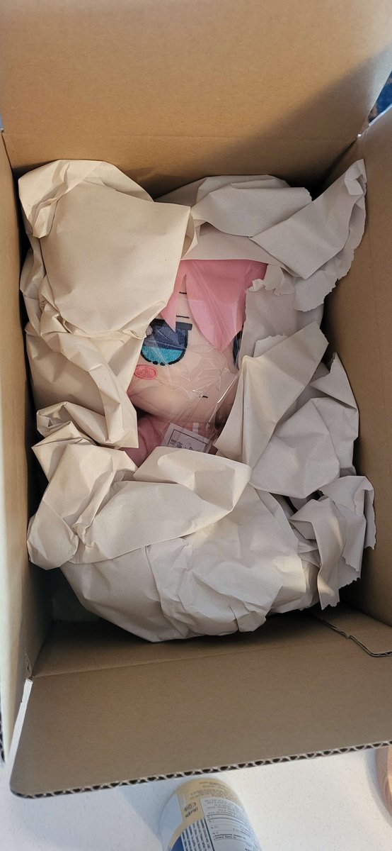 intertopical's tweet photo. after 4 months bocchi fumo arrive!!!!!!!!!!!!!!!!!!!!!! https://t.co/I6fRDNphGQ