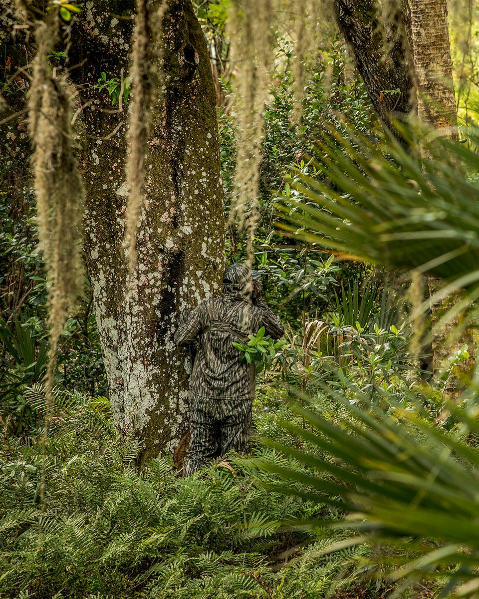Realtree's tweet photo. Chasing Osceolas under the Florida sun and a bit of St. Patrickβs luck to guide the way. βοΈ
#Realtree #RealtreeOriginal https://t.co/9gSLKXoQ4u