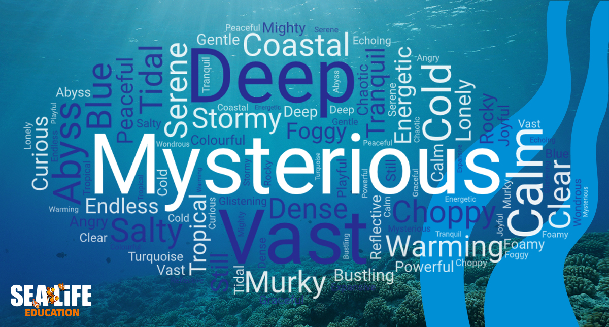 What adjectives would your students use to write a descriptive piece about the ocean? 🌊