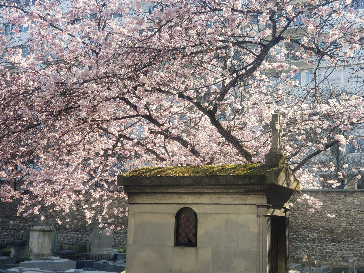 BBeyern's tweet photo. Cimetière d'Auteuil, #17mars 2025. https://t.co/g7aowzyJlV