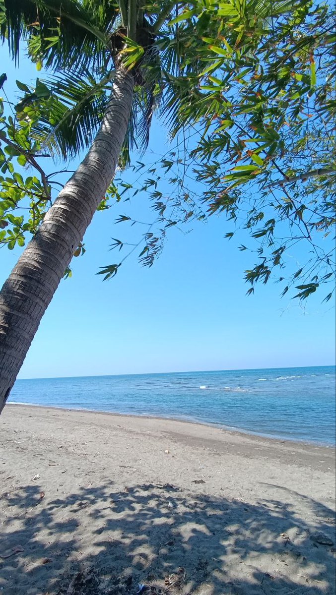Juzztintime's tweet photo. 🏝️🏖️🌊 https://t.co/HQg1zyKVKR