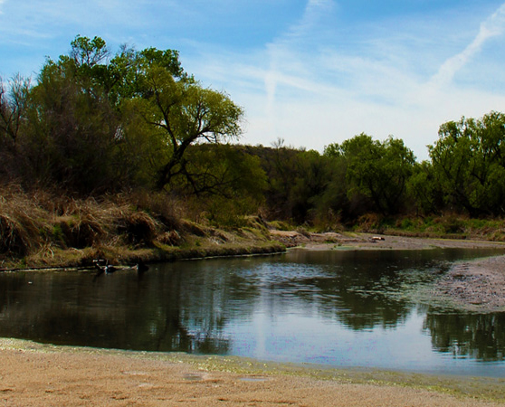 Last week was International Day of Action for Rivers. Did you know that PAG is the state-designated water quality planning agency for the Pima County region and helps to preserve and improve water resources within Pima County’s vast watersheds? Learn more: pagregion.com/sustainability…