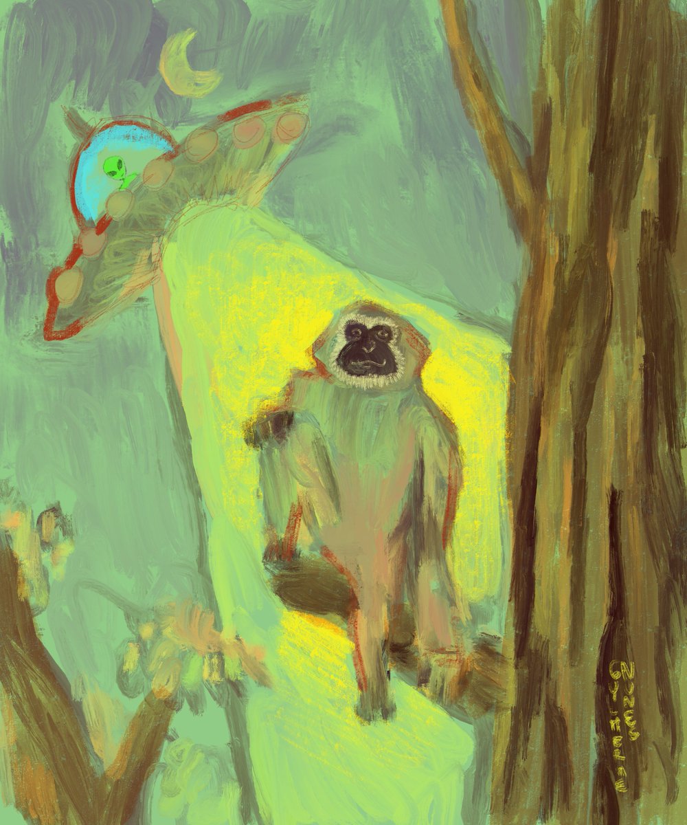 gibbon being abducted