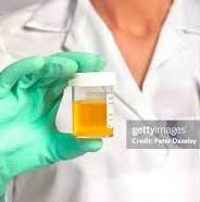 Sergeant Sarah Connor~Physically Disabled Veteran tweet media