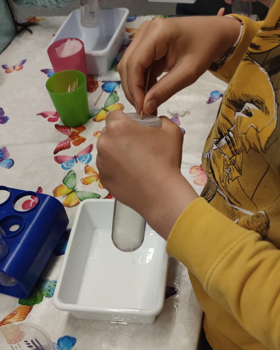 BibEsparreguera's tweet photo. Al taller "Passió per la ciència"🧪 de dissabte amb @lutravioleta vam fer diversos experiments on l'aigua era el fil conductor. Va ser tot un descobriment!
#Esparreguera #bibliotequesxbm #bibliotequescat https://t.co/f4CMuY6kZU