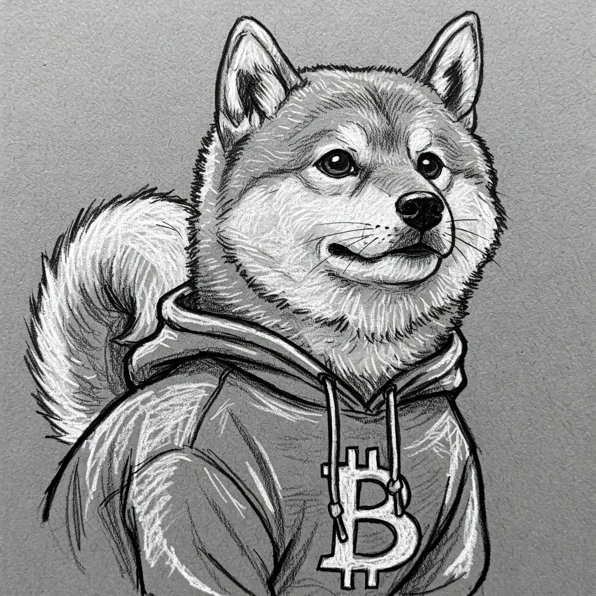 DOGPULSExbt's tweet photo. @LeonidasNFT This is huge news for $DOG! 🔥 Being available on Coinbase Wallet opens up the door for more investors and could really boost its visibility.  Excited to see where this goes! 📈🚀 #DOG #Crypto https://t.co/L5K5CJWYmu