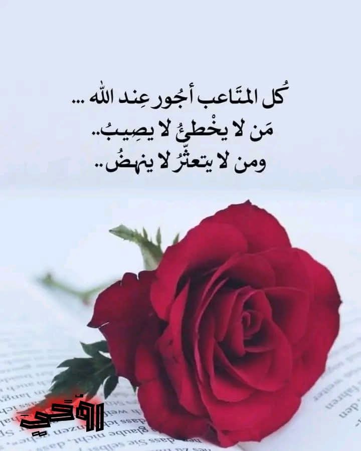 شوق (@swq162145) on Twitter photo 