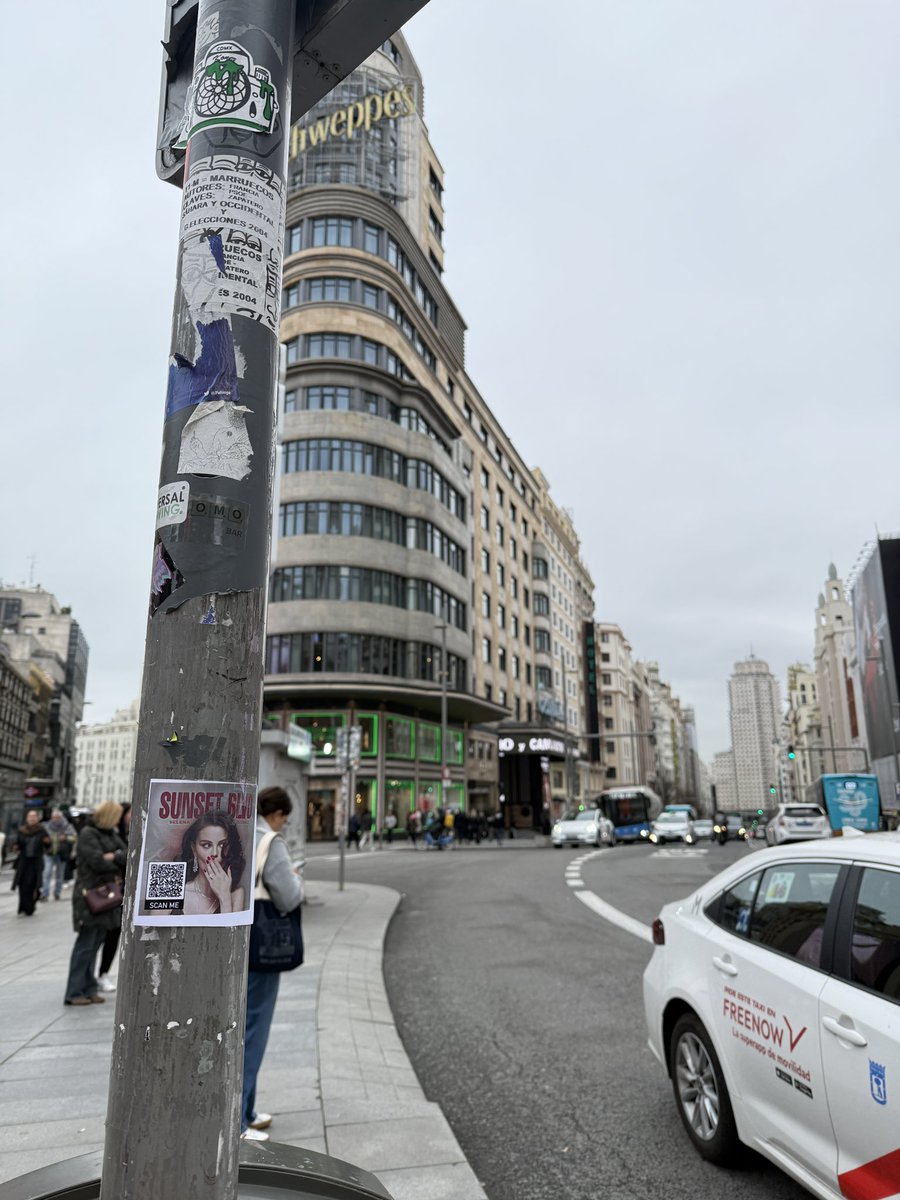 carol 🪩 tweet media