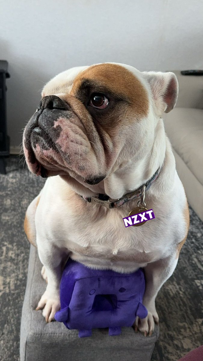 <a href="/NZXT/">NZXT</a> I’m feeling Lucky! And so is he! 🪙