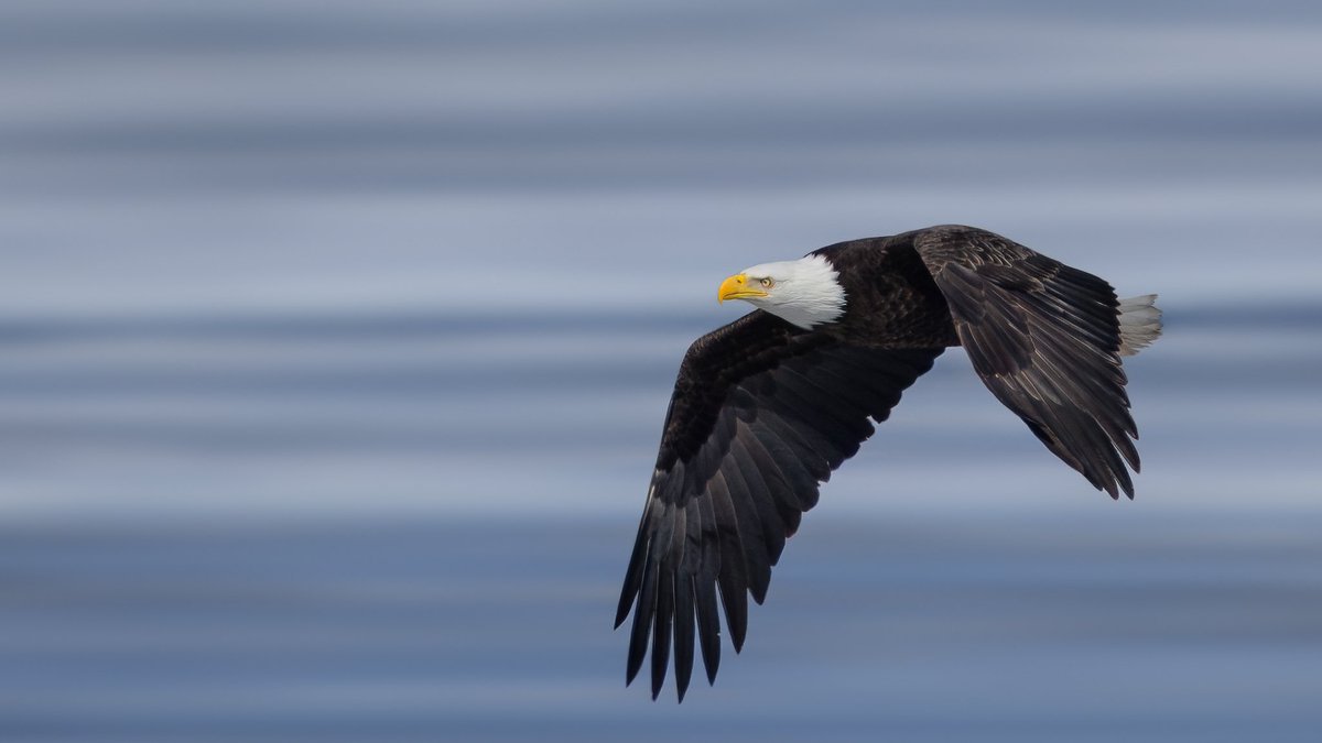 Derek Genge tweet media