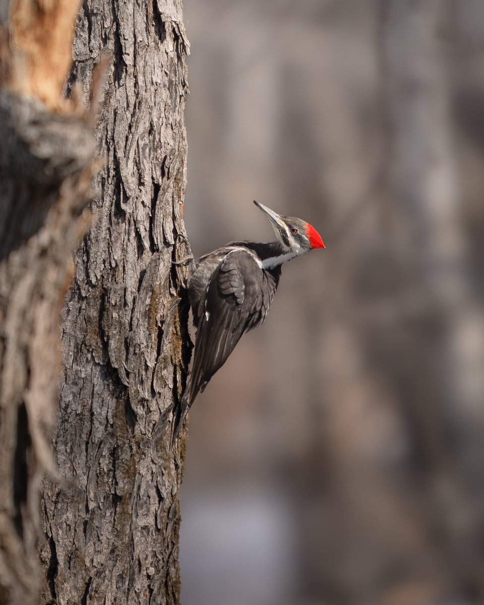 Derek Genge tweet media