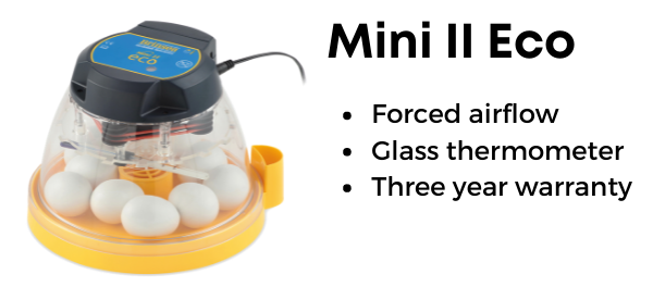 Say hello to the most affordable Brinsea incubator! Perfect for stay-at-home parents or anyone who wants to be more hands-on with their incubation. bit.ly/3hiBAzi