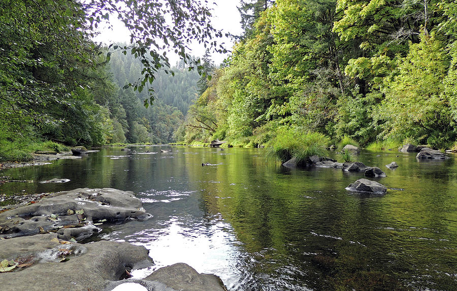 oregon_connect's tweet photo. Dan Kirk will present "Reconnecting, Restoring and Renaming in the Lower Siuslaw Watershed" at #CONNECT2025. Learn how #restoration projects blend ecological recovery with cultural reconnection.  – https://t.co/rGWWjE5whS

#WatershedRestoration https://t.co/zR3i7jEFIT