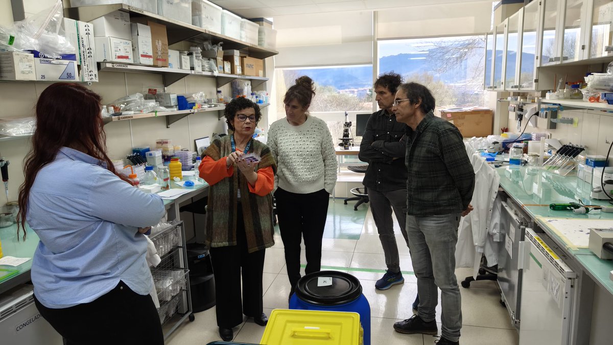 Estuvimos en  <a href="/CICbioGUNE/">CIC bioGUNE</a> con Edurne Berra y Blanca Calle para conocer el desarrollo del proyecto de investigación de terapia técnica que están impulsando la <a href="/AlianzaVHL/">Alianza VHL España</a>   y <a href="/SendabideH/">Sendabide VHL Euskal Herria</a> . 
🧵
