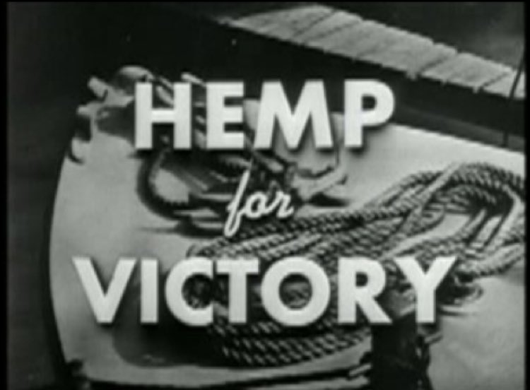 projectpeace's tweet photo. @POTUS @realDonaldTrump
@VP @JDVance @elonmusk @DOGE @SecKennedy
@NicoleShanahan
@JoinClubMAHA
Thirty-four years I’ve been ranting about the importance to optimal health & proper development of #CompleteEssentialNutrition unique to #Cannabis #hemp. Do people not understand how fundamental for health complete essential nutrition is? And how rare it is? And how easily available it could be after this Spring 2025?
Instead people are distracted in having to defend against the institutional onslaught being led by ghoulish doctors injecting poisons into babies!
Whatever happened to #RespectForNature?!
Whatever happened to sincere spiritually founded gratitude for the blessing & miracle we’ve been given by the grace of Creation?
Most of mankind’s problems stem from warped values lacking proportionate respect for the god-given, natural systems that determine the quality of our lives.
#Cannabis nutrition & organic #hemp gardening should be taught in schools. Any conversation about health that overlooks the complete essential nutrition unique to hemp, is incomplete & inadequate.
Re-introducing the “strategic resource” #Cannabis #hemp to American farms in the 2018 Farm Bill was President Trump’s greatest achievement, that has not been fully realized. It’s critical to national security for people to understand why that’s true, before the Spring planting season of 2025.
If we miss another planting season, the waste & inefficiency of our failure to plant enough #hemp to increase American #Cannabis seed stocks of all varieties will eventually be seen as a major error.