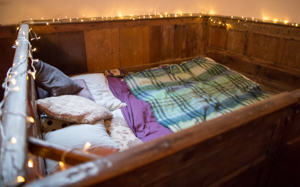 Champing tweet media