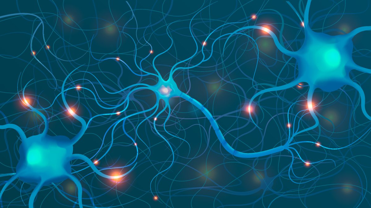 SNACC (@snaccneuro) on Twitter photo 🤝 Connect with colleagues and peers in the neurocritical care community! Join SNACC today and become part of a global network of healthcare professionals dedicated to saving lives. #SNACCCommunity #NeuroCareNetwork snacc.org/online-applica… 🤝 Connect with colleagues and peers in the neurocritical care community! Join SNACC today and become part of a global network of healthcare professionals dedicated to saving lives. #SNACCCommunity #NeuroCareNetwork snacc.org/online-applica…