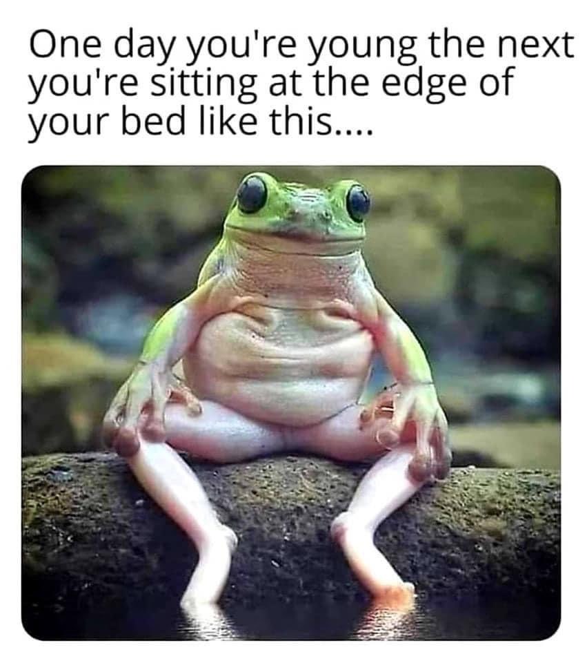 SpillTheMemes's tweet photo. 😂 https://t.co/bz8HHGE5d6