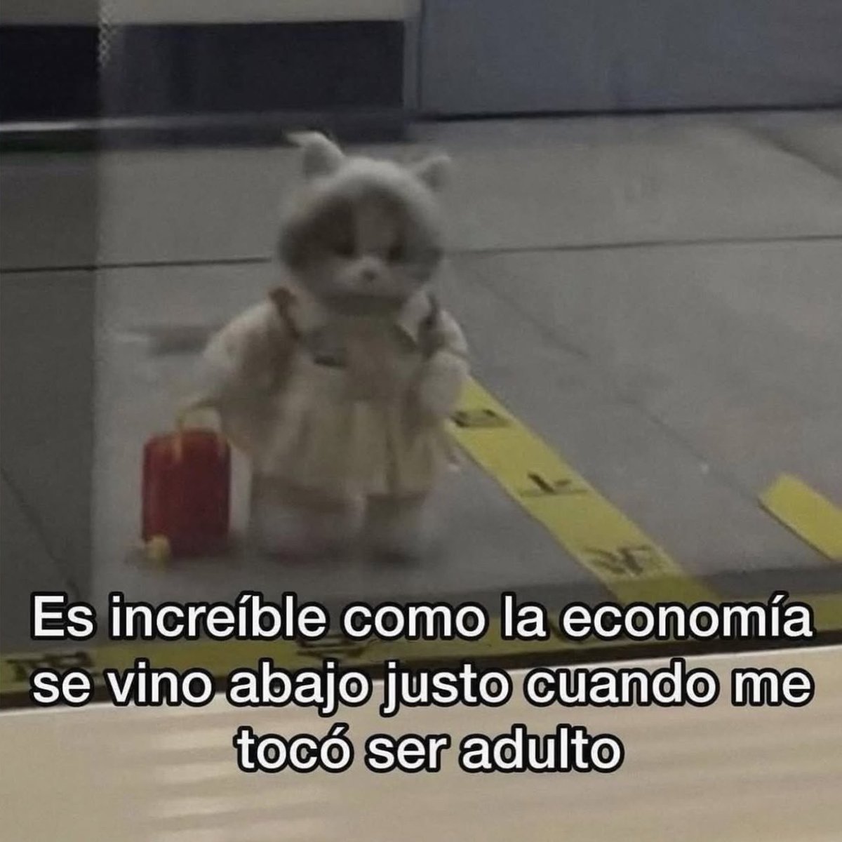 Meme Miniatura (@mememiniatura) on Twitter photo 