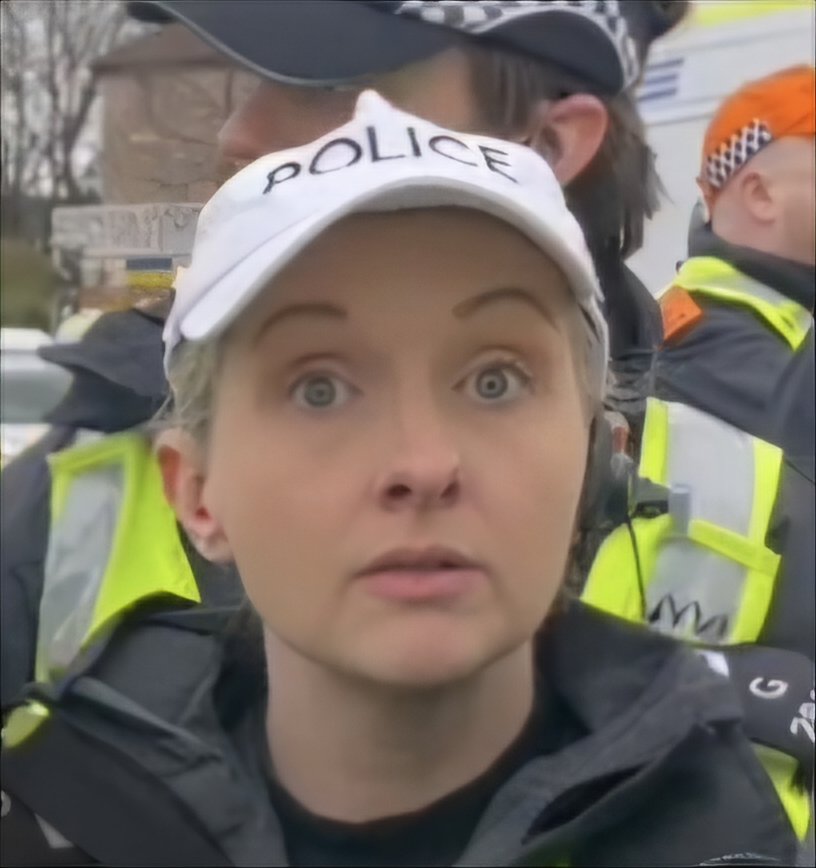 NCCeltic's tweet image. PIG WATCH was introduced as a tool to defend against intimidation tactics of Police Scotland. The tool was used primarily and successfully at Celtic Park to keep police out of the Standing Section. As a result, there are no police in the concourse or stand.