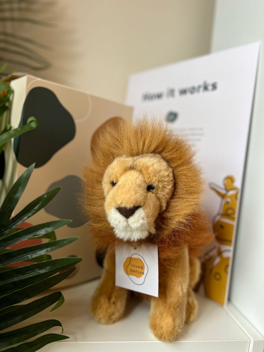 Loved Before tweet media