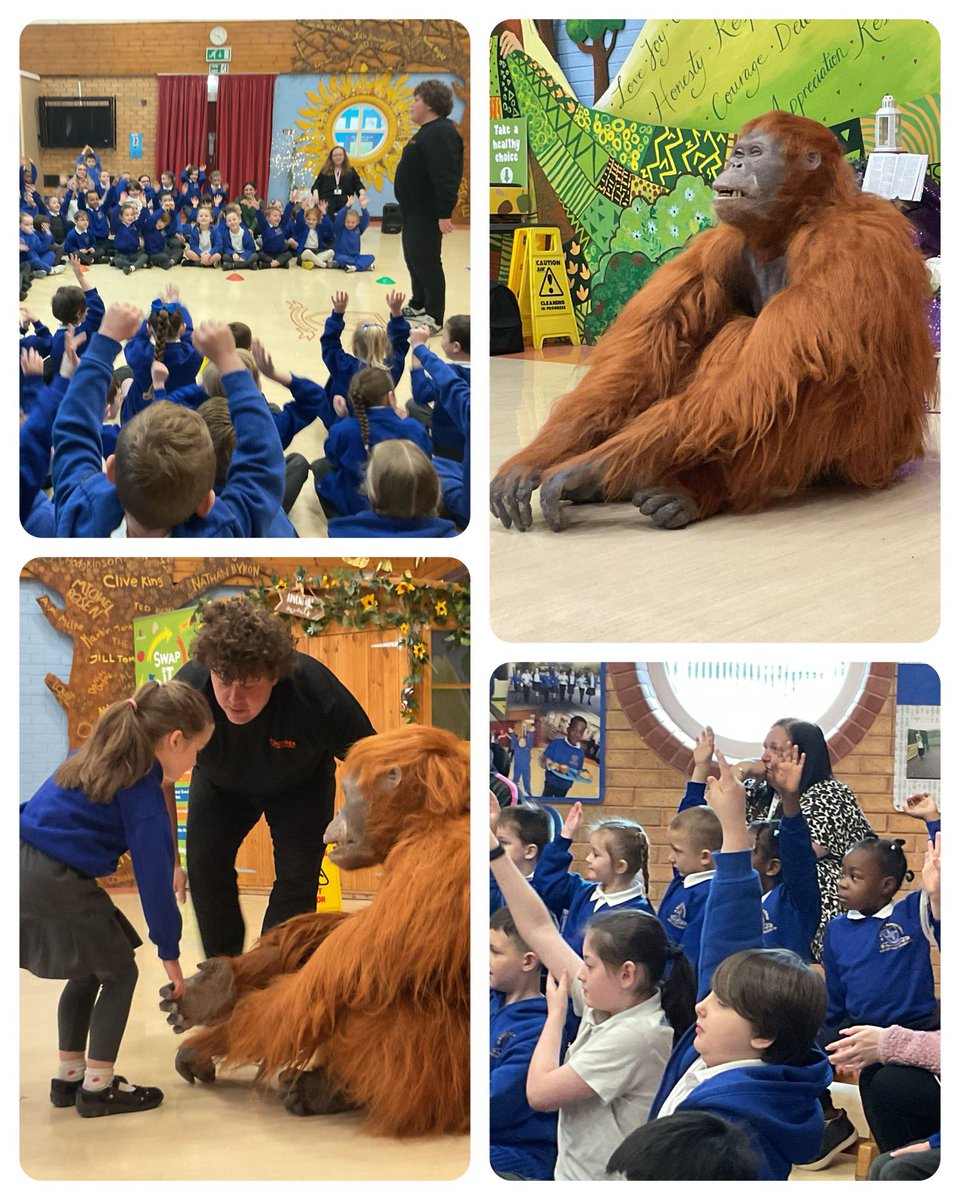 St Brigid's Catholic Primary School (@stbrigidscps) on Twitter photo What an amazing day we’ve had with our special visitor from <a href="/teach_rex/">Teach Rex 🦖</a> We loved every minute of our time together 🧡 What an amazing day we’ve had with our special visitor from <a href="/teach_rex/">Teach Rex 🦖</a> We loved every minute of our time together 🧡