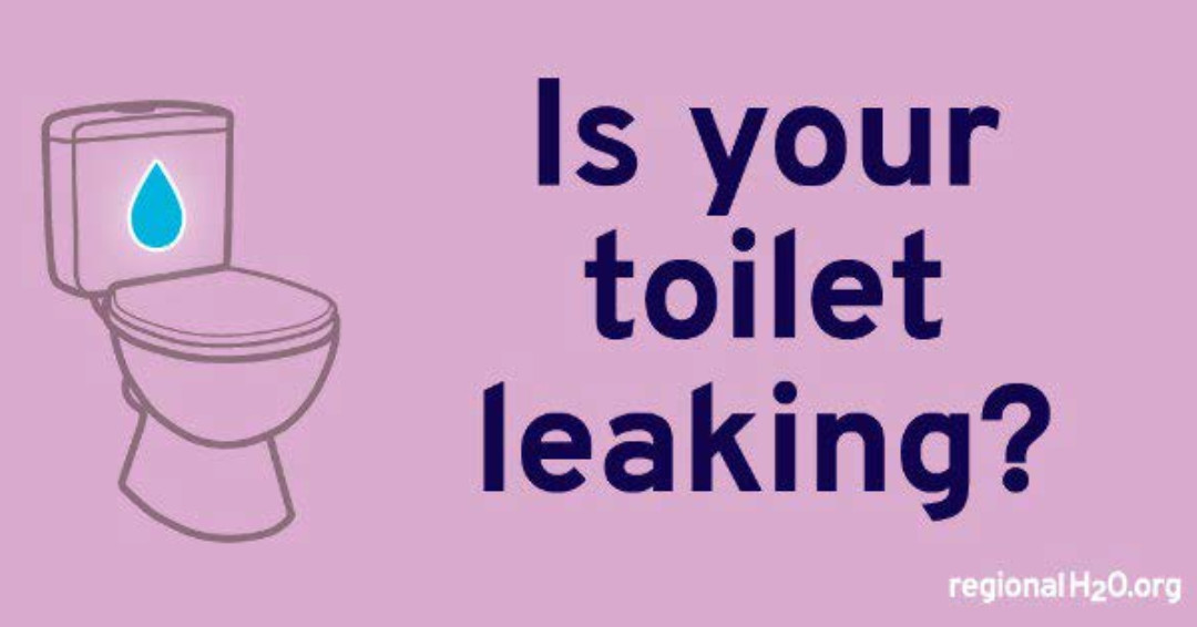 CityofGresham's tweet image. To find the most common household leaks, head to the bathroom! 

Take 20 minutes to check for toilet leaks that can waste HUNDREDS of gallons of water each month. 

Get the steps in English and Spanish at regionalh2o.org/toilet #FixALeak #FixALeakWeek
