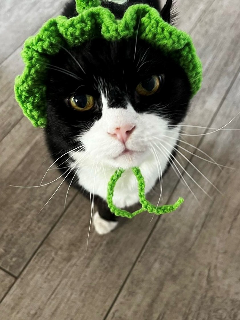 DiploMog's tweet image. Not sure about this look...Happy St. Patrick&apos;s Day!☘️