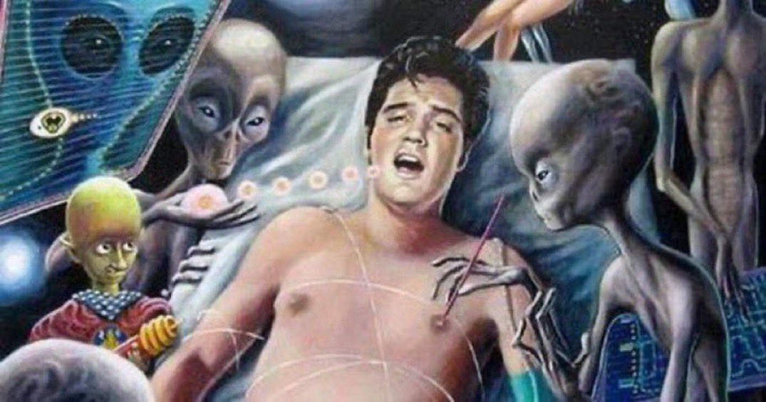 rabbit guy 𓃹 tweet media