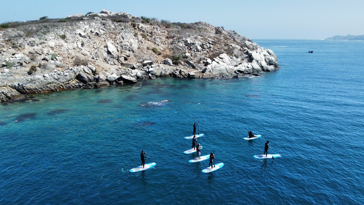 Descubre las Rutas Autoguiadas de Los Vilos: Naturaleza, Patrimonio y Wellness 🌿🏰🧘🏻‍♀️

redturismochile.cl/descubre-las-r… 📲

#VoyALosVilos