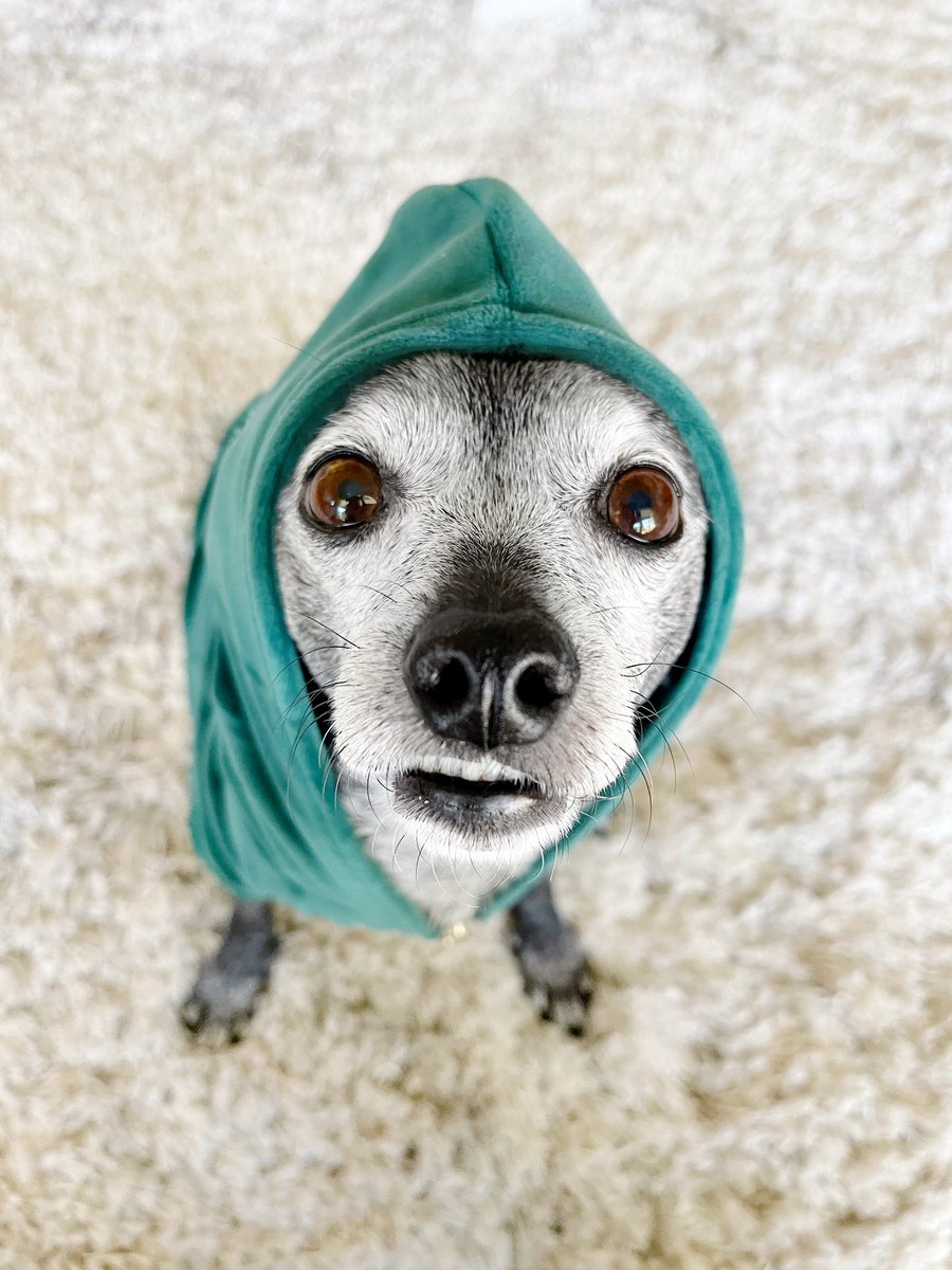 hope your day is extra lucky 🍀