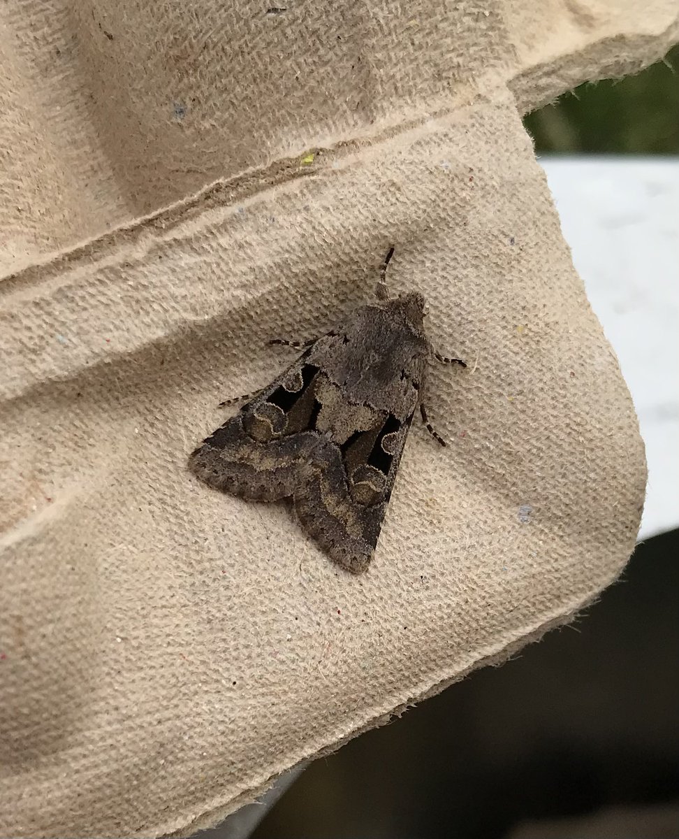 BC Warwickshire tweet media