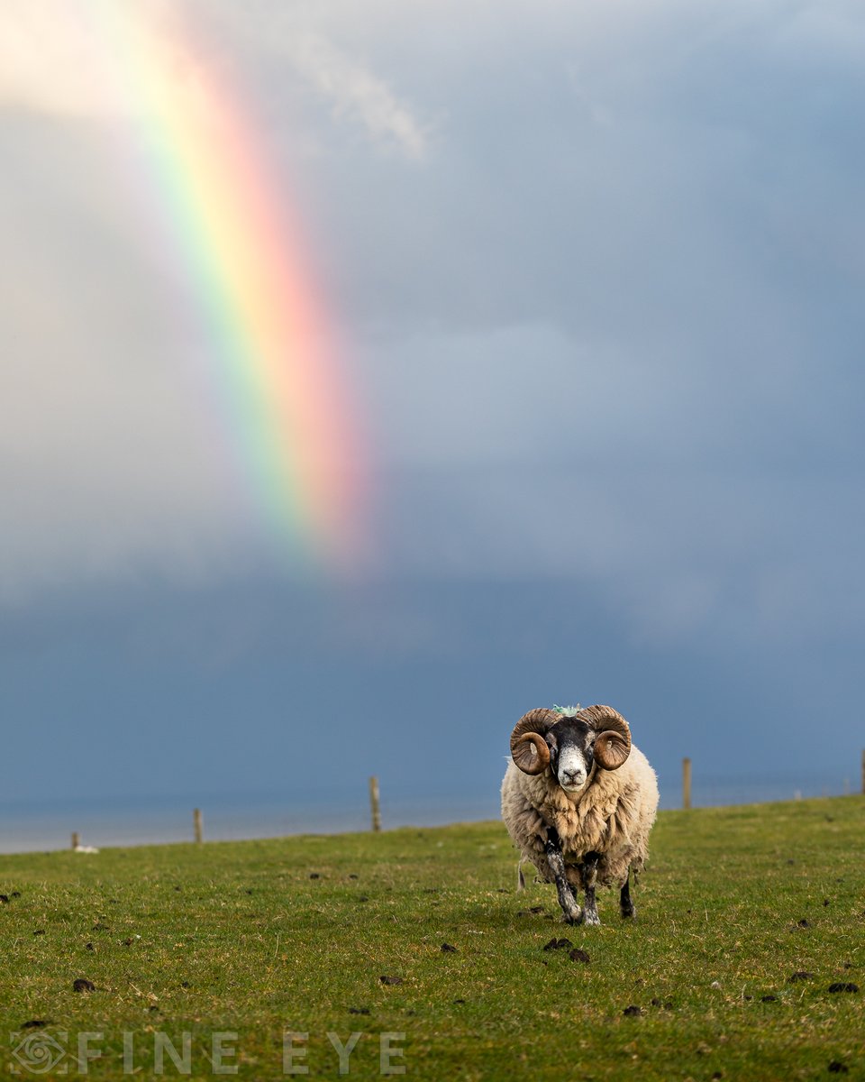 HAPPY ST. PATRICK'S DAY FROM THE HILLS OF DONEGAL.

Let me see your most Irish scenes!

#StPatricksDay #StPatricks #ireland #irish #donegal #irishscene #wildatlanticway