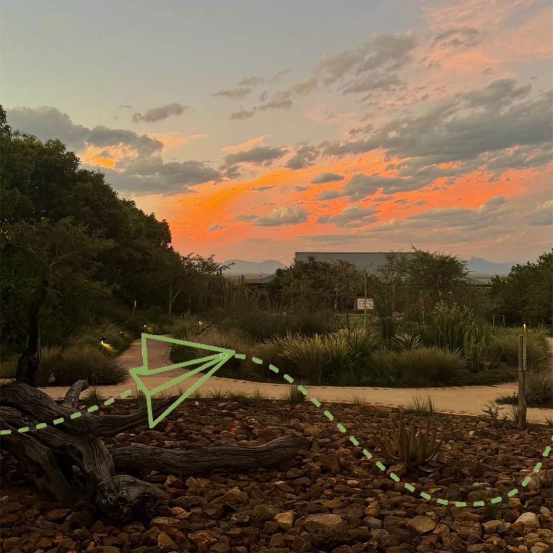 Travelbound tweet media