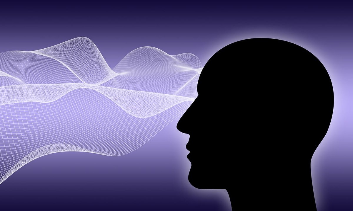 Tal día como hoy nació el sociólogo austriaco Peter L. Berger que revolucionó la sociología con La construcción social de la realidad📚🔍. Su visión del mundo como una estructura socialmente construida sigue inspirando debates sobre el conocimiento, religión y modernidad.