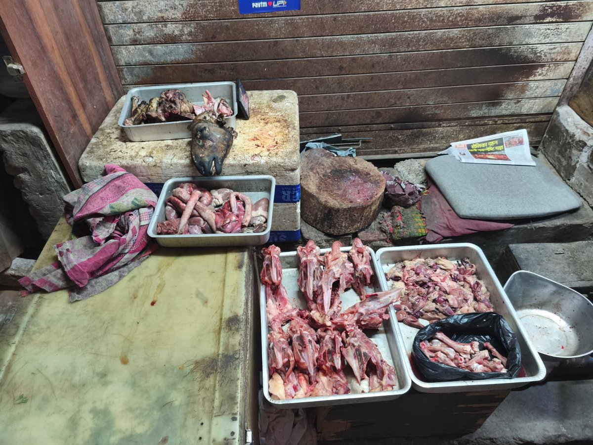 roki_grz's tweet photo. #India can be a hard place for meat and fish eaters. Nevertheless, they have great food, even the street food is often edible. https://t.co/HQkzJw8xyo