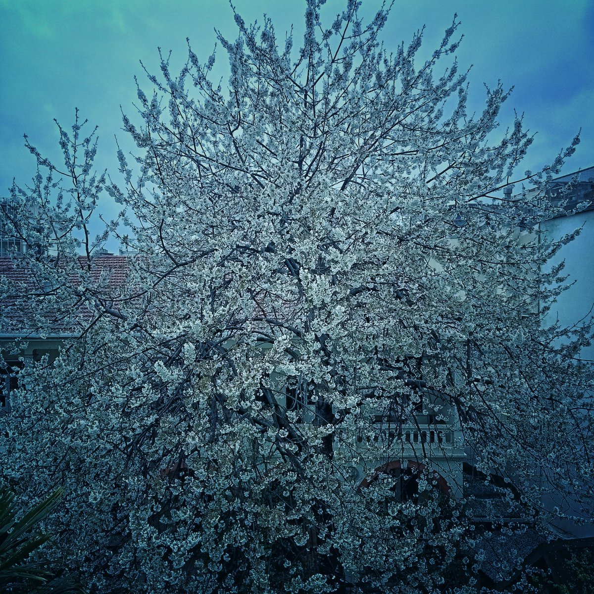 opontheroad tweet media