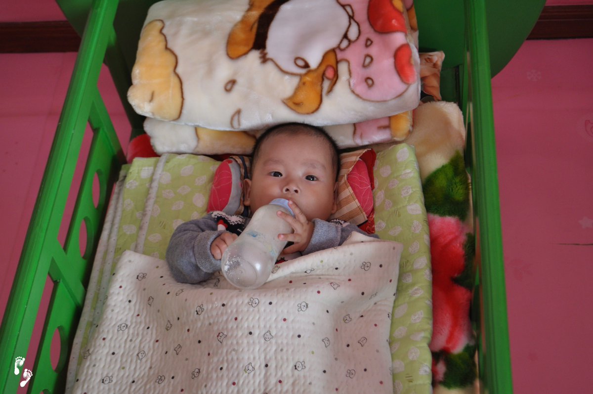 Snug as a bug at the Hyesan nursery! 🐛🛏️💤