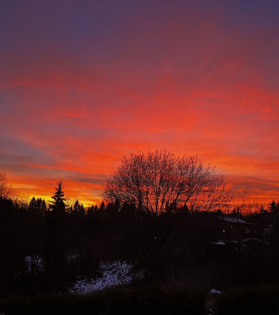 wow just askdifuwpfjfbebjsudu