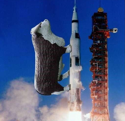 #Team178Fats (@buy_mortimer) on Twitter photo 